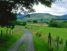  Mantan Gay: Islam Membimbingku ke Jalan Lurus