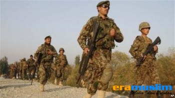 5 Tentara Australia Tewas di Afghanistan 