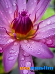 Berbicara, Mendulang Pahala atau Dosa?