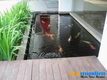 Kolam Mnimalis: Bawa Ketenangan dan Kesejukan di Rumah