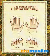 Cara Memotong Kuku yang Baik Menurut Islam