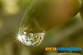 Mengapa Kita Tak Pandai Bersyukur?