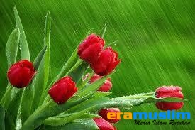 Cinta Abu Bakar untuk Al-Musthafa 