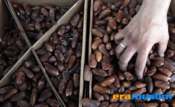 Aktivis Maroko Marah Atas Masuknya Kurma Israel Selama Bulan Ramadhan