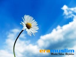 Pembersih Jiwa Sejati