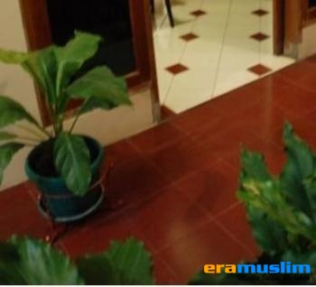 Teras Nyaman di Belakang Rumah